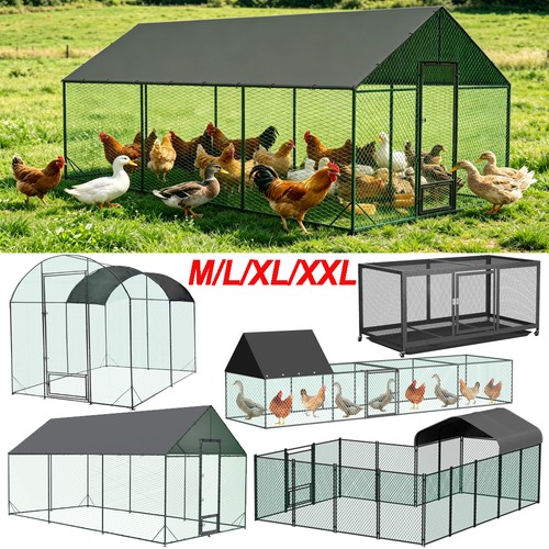 Chicken run cage walkin - chicken,