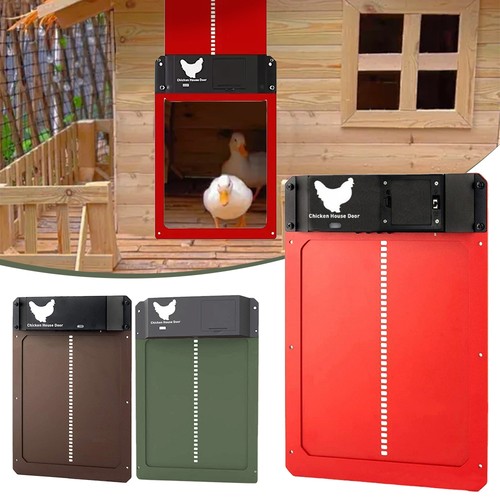 New automatic chicken - automatic,