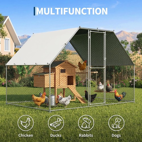 Metal chicken coop - chicken, coop,