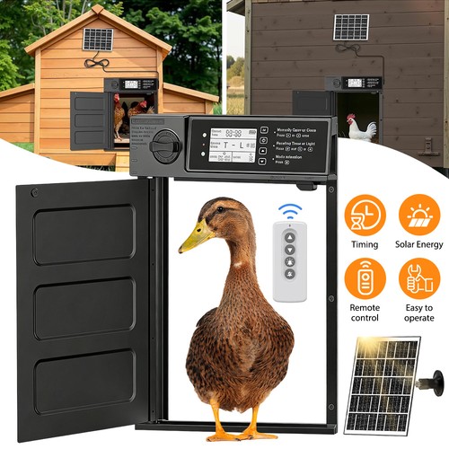 Auto chicken door coop - auto,