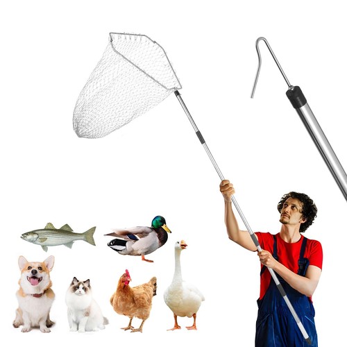 Chicken net catcher - chicken,