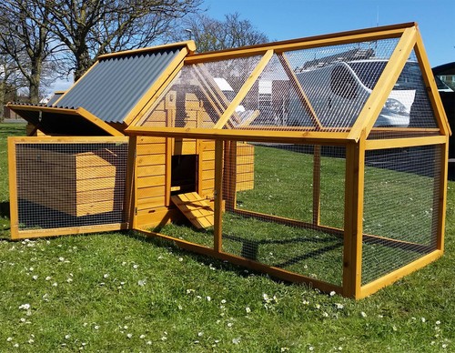Large chicken coop hen house - chicken,