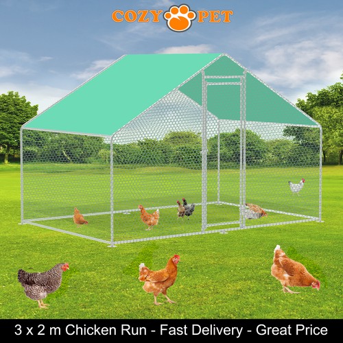 Chicken run 25mm - chicken, 3