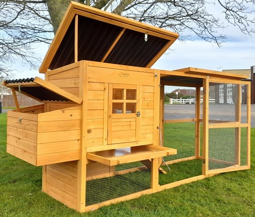 Large chicken hen house - hen,