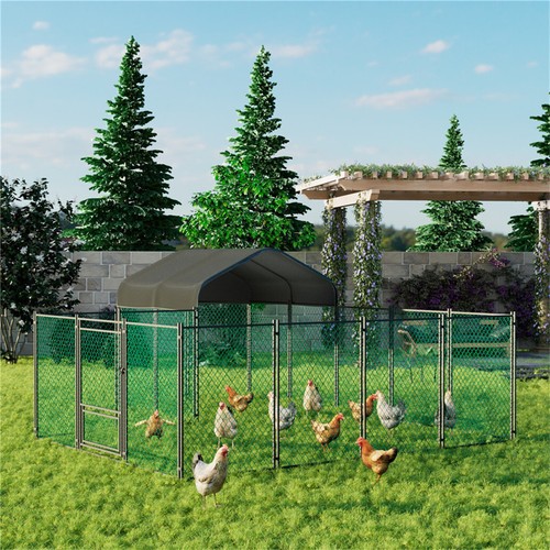 10m metal chicken coop - chicken,