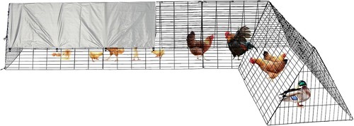 Metal chicken coop - chicken,
