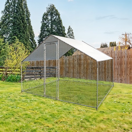 Chicken run cage walk - run,