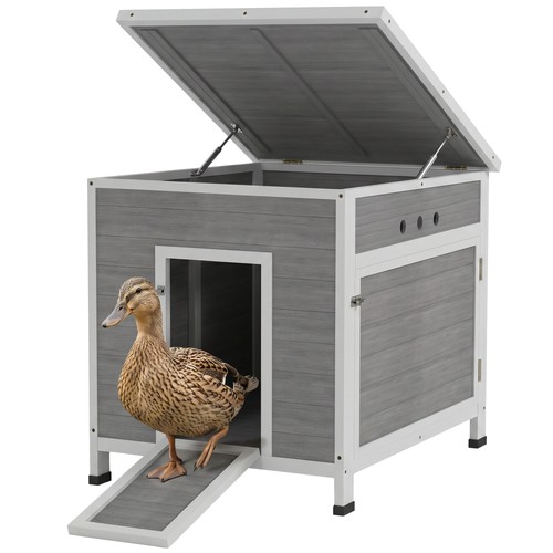 Duck coop for - coop,