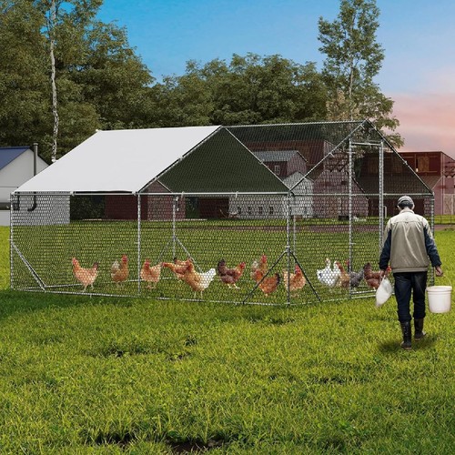 Metal chicken coop walk in - chicken, ,walk-in