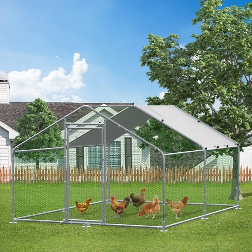 Chick perch metal chicken - metal,