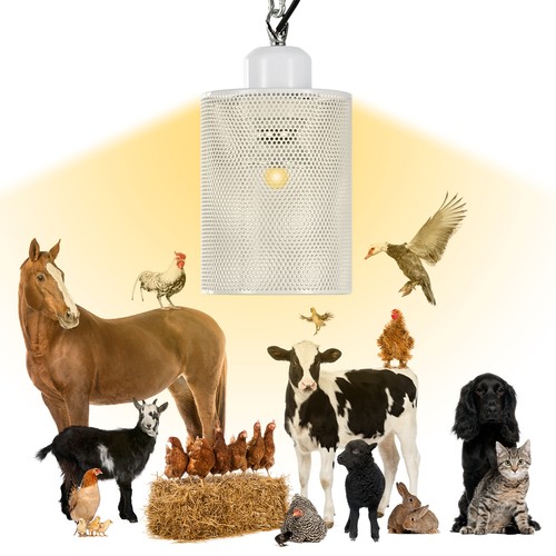 50w heat lamp - heat, for